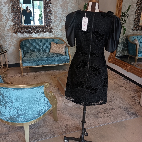 Elliott Lace mini dress with puffy short sleeve - Picture 3 of 3